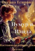Книга "Нумур и Илида" (Оксана Есипова, 2023)