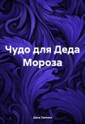 Чудо для Деда Мороза (Дина Галкина, 2023)