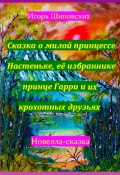 Сказка о милой принцессе Настеньке, её избраннике принце Гарри и их крохотных друзьях (Игорь Шиповских, 2023)