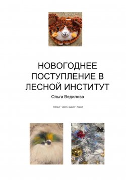 Книга "Новогоднее поступление в Лесной Институт" – Ольга Ведилова, 2023