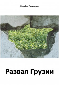 Книга "Развал Грузии" – Кахабер Родинадзе, 2023