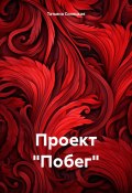 Проект «Побег» (Татьяна Силецкая, 2024)