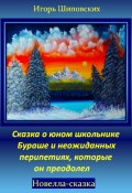 Сказка о юном школьнике Бураше и неожиданных перипетиях, которые он преодолел (Игорь Шиповских, 2024)