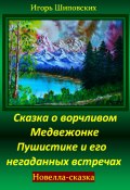Сказка о ворчливом медвежонке Пушистике и его негаданных встречах (Игорь Шиповских, 2024)