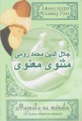 Поэма о скрытом смысле. Четвертый дафтар / Маснави-йи ма‘нави. Дафтар 4 (Джалал ад-Дин Руми)