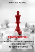 Самоучитель по маркетинговой стратегии для малого и среднего бизнеса. (Вячеслав Иванов, 2024)