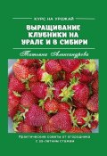 Курс на урожай. Выращивание клубники на Урале и в Сибири. Практические советы от огородника с 25-летним стажем (Татьяна Александрова)