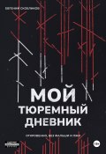 Мой тюремный дневник (Евгений Скобликов, 2023)