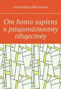 От homo sapiens к рациональному обществу. Очерк оснований социального возвышения в окружающем мире (Александр Васильев)