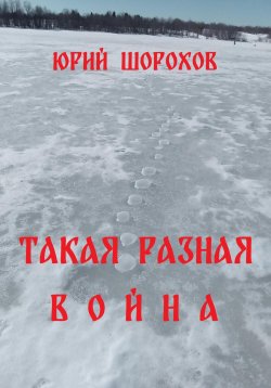 Книга "Такая разная война" – Юрий Шорохов, 2024