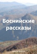 Боснийские рассказы (Александр Кравченко, 2024)