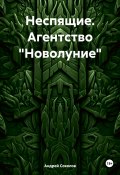 Неспящие. Агентство «Новолуние» (Андрей Соколов, 2024)