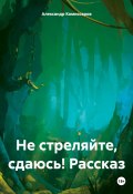 Не стреляйте, сдаюсь! Рассказ (Александр Комиссаров, 2024)