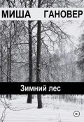 Зимний лес (Миша Гановер, 2024)