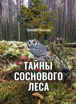 Книга "Тайны соснового леса" – Евгений Николин, 2024