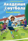 Книга "Академия футбола. Большой сюрприз" (Андреас Шлютер, Ирене Маргил, 2023)