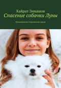 Спасение собачки Луны. Приключения в Картонном городе (Кайрат Зинашов)