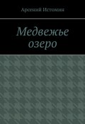 Медвежье озеро. Никто не вернётся домой (Арсений Истомин)