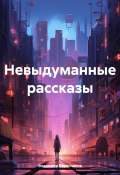 Невыдуманные рассказы (Владимир Баранчиков, 2024)