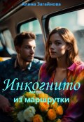 Инкогнито из маршрутки (Алина Загайнова, 2024)