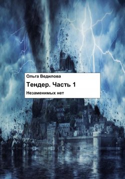 Книга "Тендер. Часть 1" – Ольга Ведилова, 2024