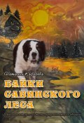 Байки Савинского леса (Наталья Карасёва, 2024)