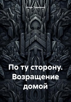 Книга "По ту сторону. Возращение домой" – Игорь Туманный, 2024