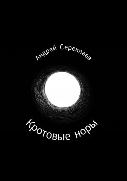 Книга "Кротовые норы" – Андрей Серекпаев, 2024