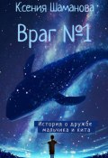 Враг №1 (Ксения Шаманова, 2024)