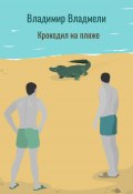 Крокодил на пляже (Владимир Владмели, 2024)