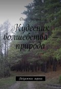 Кудесник волшебства – природа. Пейзажная лирика (Олег Черный)