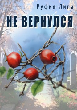 Книга "Не вернулся" – Руфия Липа, 2024