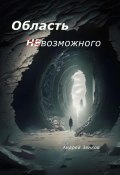 Область (не)возможного (Андрей Зенков, 2024)