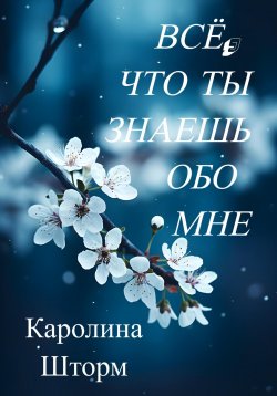 Книга "Всё, что ты знаешь обо мне" – Каролина Шторм, 2024