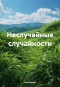 Неслучайные случайности (Нил Плёсов, 2024)