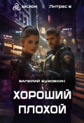 Хороший, плохой (Валерий Бузовкин, 2024)