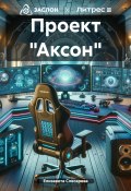 Проект «Аксон» (Елизавета Слесарева, 2024)