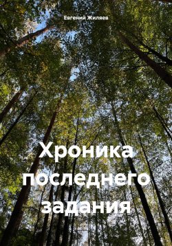 Книга "Хроника последнего задания" – Евгений Жиляев, 2024