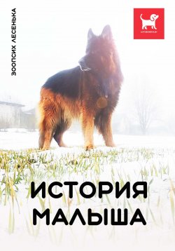 Книга "История Малыша" – Алеся Малишевская, 2024