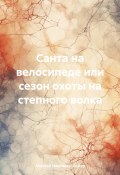 Санта на велосипеде или сезон охоты на степного волка (Некрасов- Вебер Алексей, 2024)