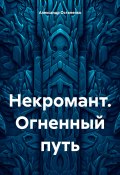 Некромант. Огненный путь (Александр Остапенко, 2024)