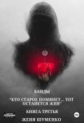 Банды: Кто старое помянет, тот останется жив. Книга третья (Шуменко Женя, 2024)