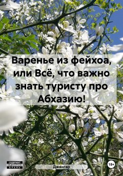 Книга "Варенье из фейхоа, или Всё, что важно знать туристу про Абхазию!" – Джангар, 2024