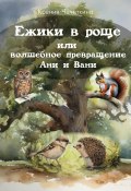 Ежики в роще или волшебное превращение Ани и Вани (Ксения Чечеткина, 2024)