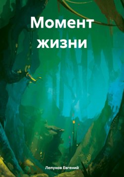 Книга "Момент жизни" – Лепунов Евгений, 2024