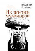Из жизни мухоморов (Владимир Колганов, 2024)