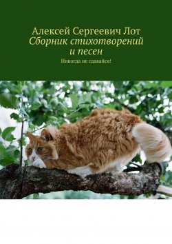 Книга "Сборник стихотворений и песен. Никогда не сдавайся!" – Алексей Лот