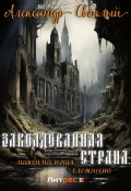 Книга "Заколдованная страна: максимальная сложность" (Александр Светлый, 2024)