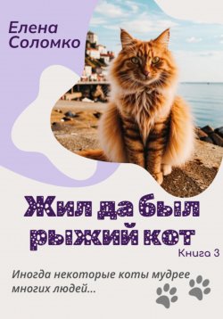 Книга "Жил да был рыжий кот. Книга 3" – Елена Соломко, 2024