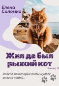 Жил да был рыжий кот. Книга 3 (Елена Соломко, 2024)